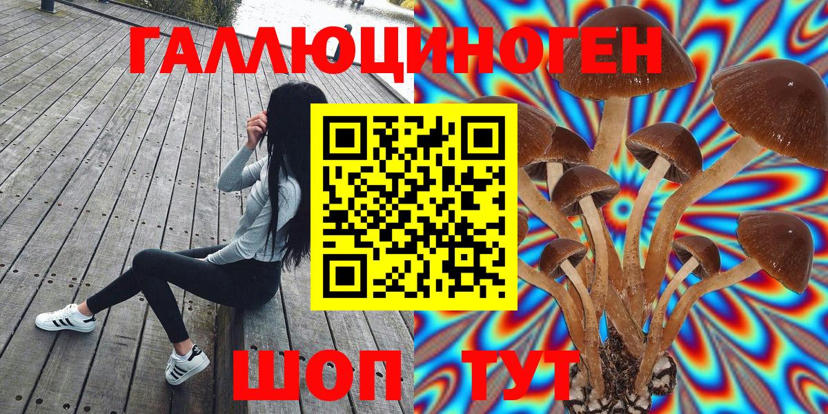 закладка  Вход с VPN  Галлюциногенные грибы MAGIC MUSHROOMS  Энгельс  Псилоцибиновые грибы Magic Shrooms 