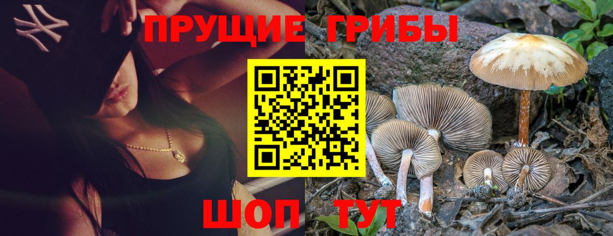 Галлюциногенные грибы Magic Shrooms Энгельс